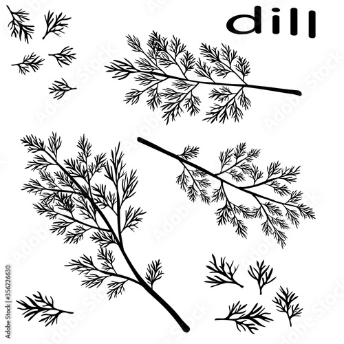Black icon of fresh dill. Green vegetables.  Black silhouette dill close-up. Vector illustration.