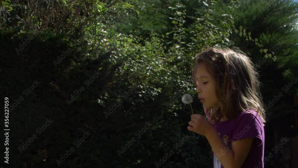 Little Girl Blowing a Dandylion Slow Motion Little Girl Blowing a Dandylion Slow Motion