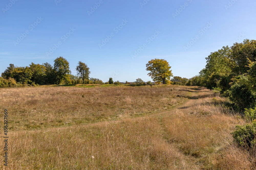 The site of a medieval castle from the eleventh century, where a five metre mound remains, along with five baileys.  The site is of special scientific interest (SSI) and nature reserve in Totternhoe. 