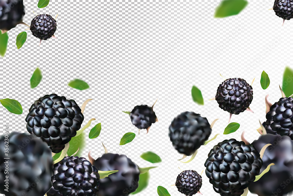 Black raspberry background. Flying black raspberry with green leaf on ...