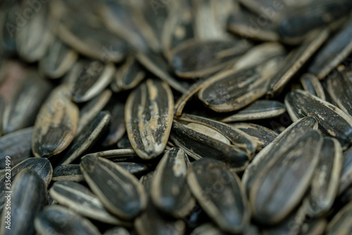 Fotografie Close-up image of sunflower seed background
