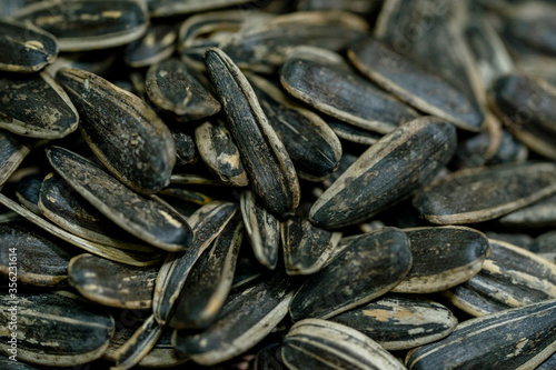 Fotografie Close-up image of sunflower seed background