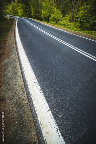 winding mountain road in a green forest © ptyszku