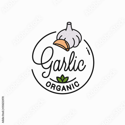 Garlic bulb logo. Round linear of garlic cloves
