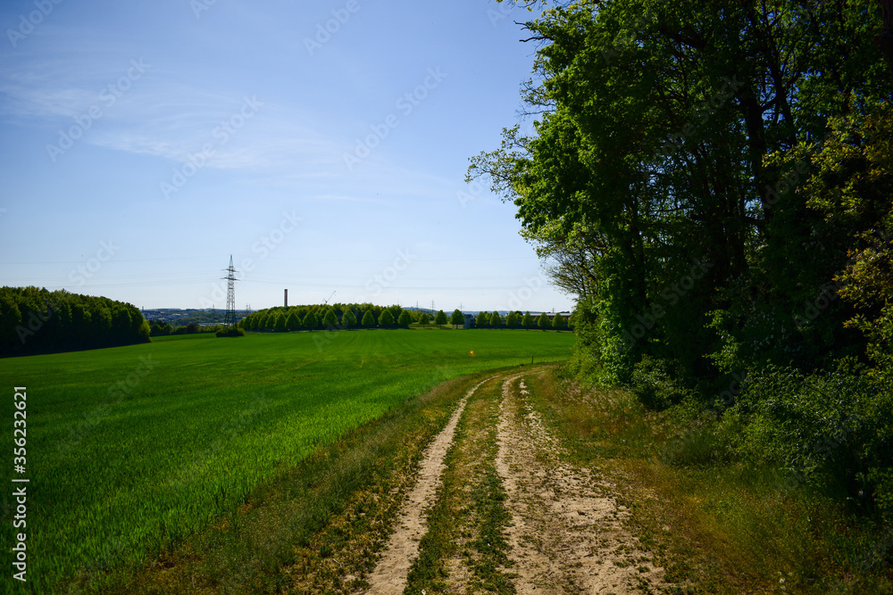 Feldweg Feldweg