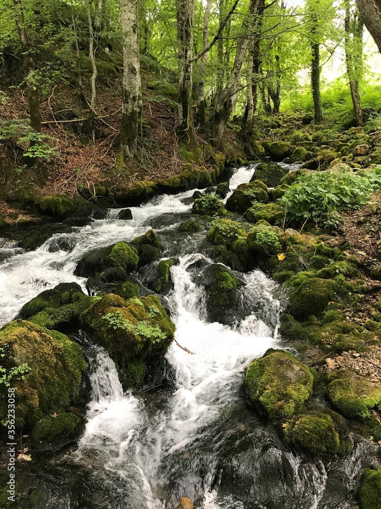 waterfall in the forest