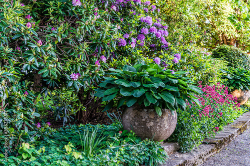 D, Bodensee, Lindau, Lindenhofpark, Bad Schachen, opulente Frühlingsblüte mit Funkien (Hosta) und Azallen im Garten / Park von Hotel Bad Schachen am Bodensee photo