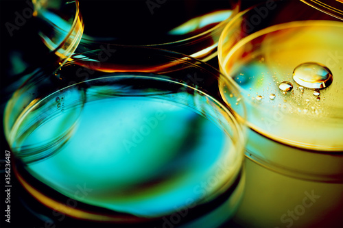 Petri dishes. Laboratory concept.