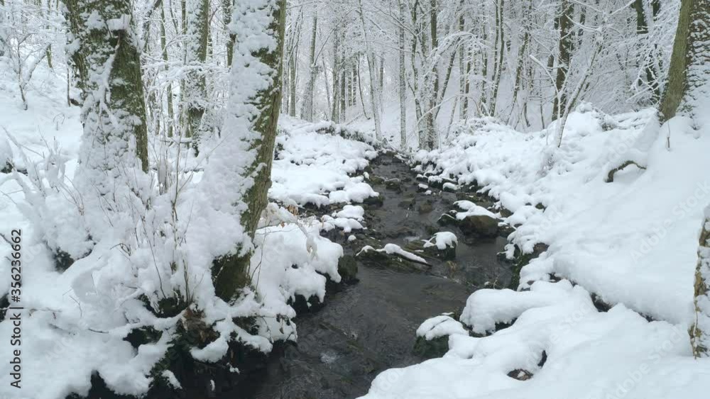 WS Stream in forest in winter / Mettlach, Saarland, Germany WS Stream in forest in winter / Mettlach, Saarland, Germany