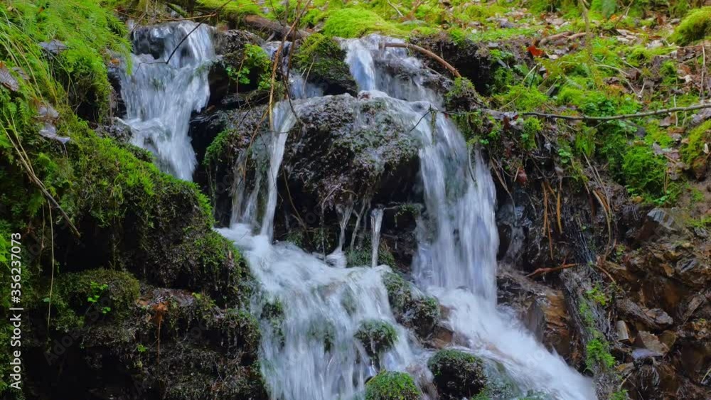 MS ZI Waterfall and moss / Kastel-Staadt, Rhineland-Palatinate, Germany MS ZI Waterfall and moss / Kastel-Staadt, Rhineland-Palatinate, Germany