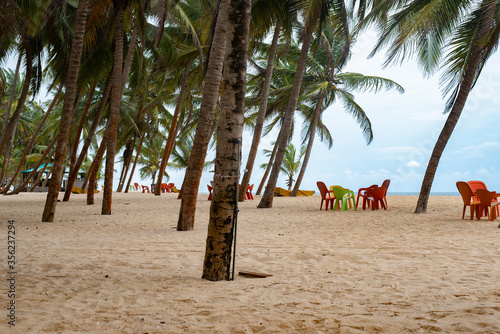 A view of Cocounut trees on the shores of a beach in nigeria photo