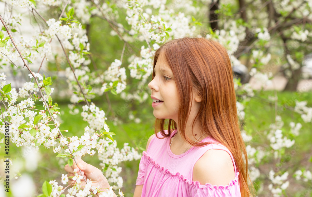red-haired teen girl having fun in a blooming cherry orchard, the concept of spring and the end of the quarantine red-haired teen girl having fun in a blooming cherry orchard, the concept of spring and the end of the quarantine