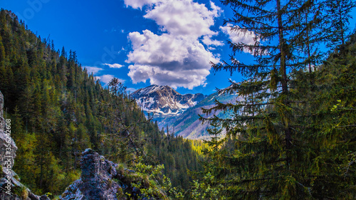 Dolina Kościeliska w Tatrach Zachodnich w Tatrzańskim Parku Narodowym