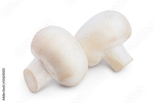 Fresh mushroom champignon isolated on white background with clipping path