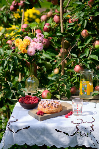 Apple pie on an old wooden table under an apple tree in a village. Bright sunny day and tasty homemade dessert with compote.