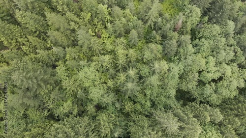 4K Aerial footage of the forest around Teneriffe Falls in Washington State
