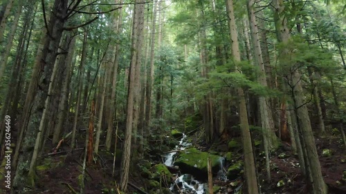 4K Aerial footage of the forest around Teneriffe Falls in Washington State