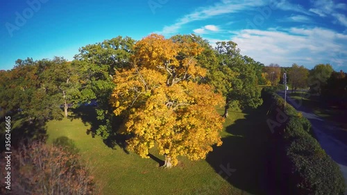 4K Aerial footage of a park and surrounding area with leaves changing colors