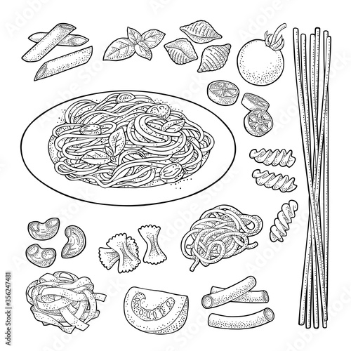 Different types macaroni. Vector vintage black engraving isolated on white