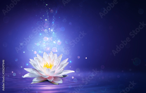 Fototapeta Naklejka Na Ścianę i Meble -  Magic Lotus Flower With Fairy Light - Miracle and Mystery Concept
