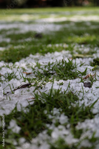 Granizo en el pasto