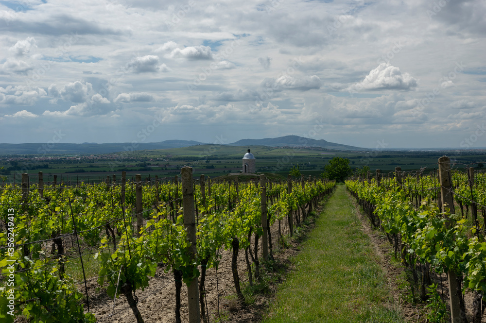 Hill Hradištěk is a very visible local landmark. From the hill you can see not only the town but also many other nearby towns and villages and very many vineyards. Under good weather conditions you ca