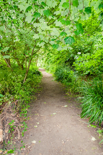 Morden, London, England, United Kingdom - 9 June 2015:Trail in Morden park is a serene oasis in the heart of suburban London