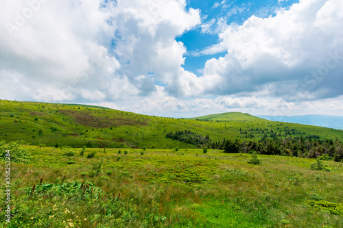 grassy meadows of mnt. runa, ukraine. beautiful nature scenery of carpathian mountains in summer. cloudy weather