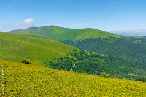 scenery of carpathian mountains. great views on a summer day. borzhava ridge is a popular travel destination of ukraine