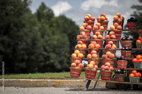 Orange peaches are seen at roadside stand on a country road.