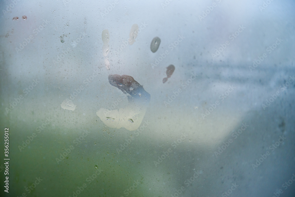 Fototapeta premium Child's Hand Print On A Steamy Window