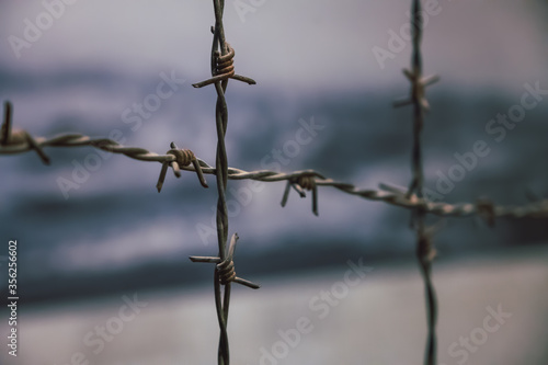 Close up of a barbed wooden fence