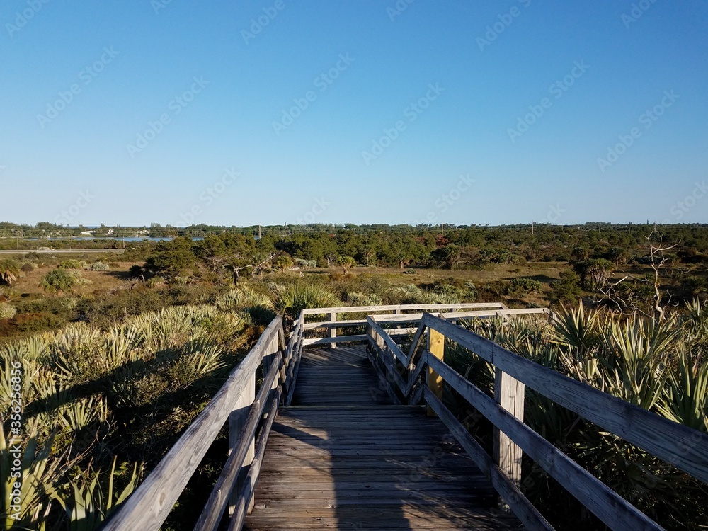 wood boardwalk or trail with plants and sky in Florida