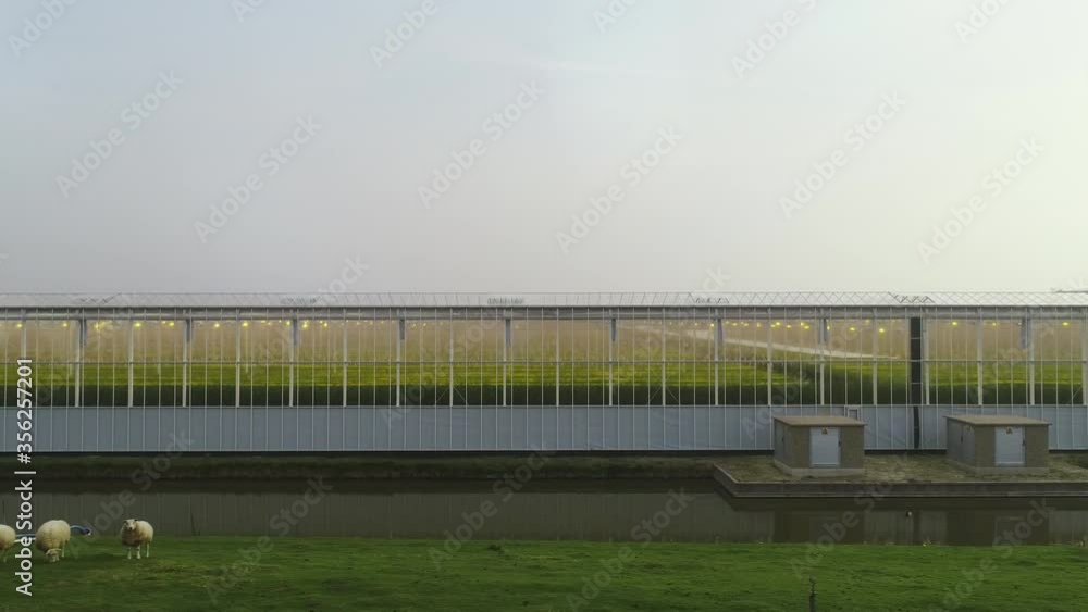 WS DS Exterior of greenhouse in Westland area / Hoek van Holland, Zuid-Holland, Netherlands WS DS Exterior of greenhouse in Westland area / Hoek van Holland, Zuid-Holland, Netherlands
