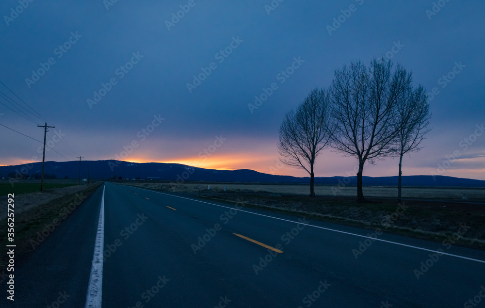 the road during blue hours
