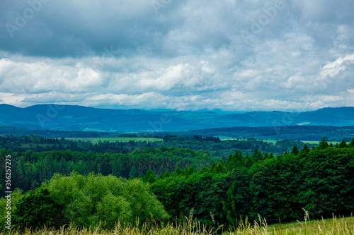 Fototapeta Naklejka Na Ścianę i Meble -  View at Beskides mountains in Lower Silesia in summer