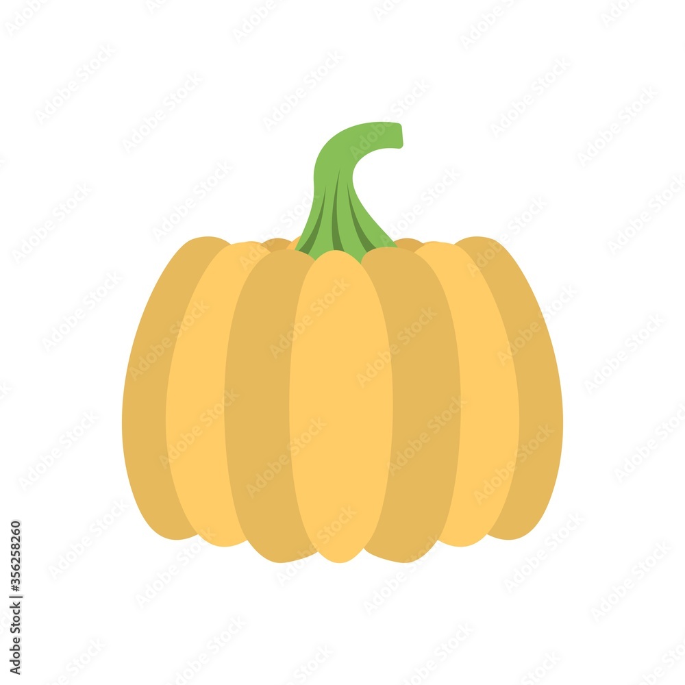 Ripe pumpkin icon flat design style. Organic vegetable sign for creative design element. Ripe pumpkin icon flat design style. Organic vegetable sign for creative design element.