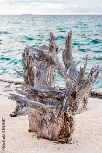 Summertime at the sea and the mountains 
