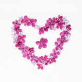 Heart made of lilac petals. Greeting card with heart and five-pointed lilac flower. Copy space