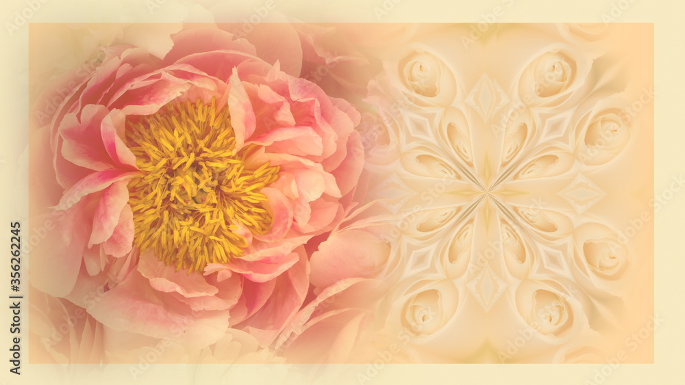 Vintage floral background. Blooming peony flower with copy space