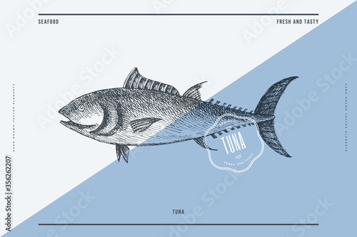 Hand-drawn tuna vector illustration. Sea fish in engraving style on a light background. Design element for fish restaurant, market, store, flyer, packaging, label, menu.