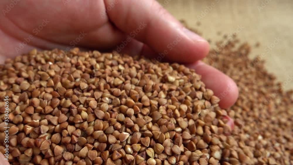 The farmer takes buckwheat from the sacks. Slow motion. The farmer takes buckwheat from the sacks. Slow motion.