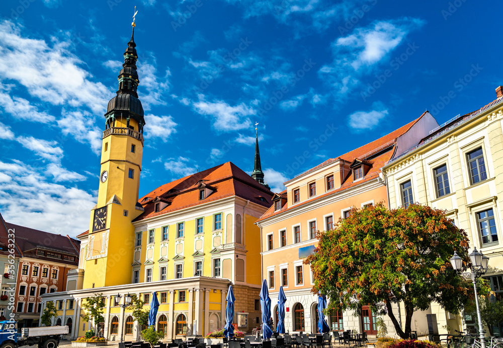 Fototapeta premium Bautzen town hall in Germany