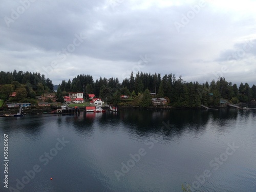 boats in the harbor