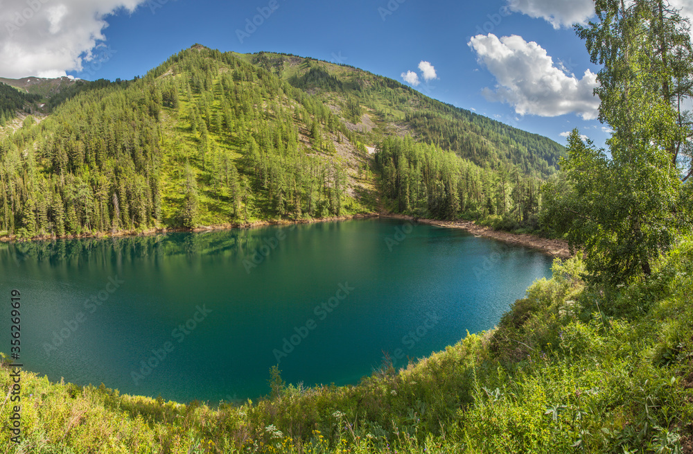 Picturesque forest lake, summer mountain landscape, travel and leisure	