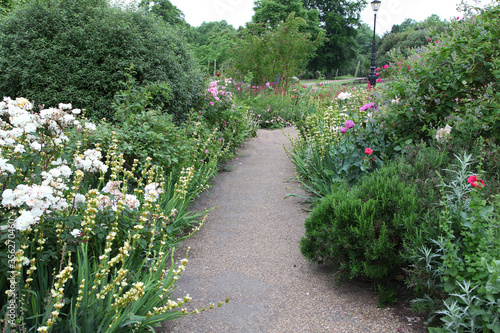 Pathway leading through beautiful cottage garden, france