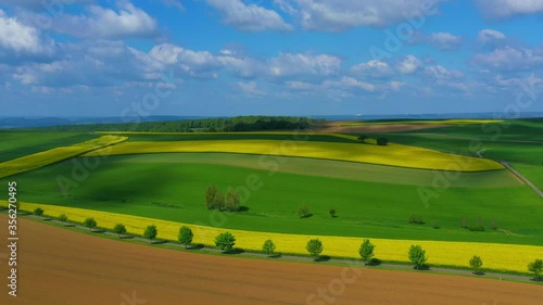 AERIAL WS Landscape with yellow and green fields / Saargau, Merzkirchen , Rhineland-Palatinate, Germany photo