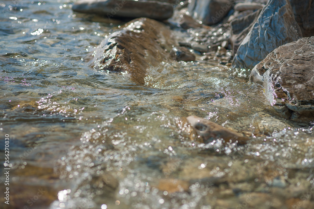 A bird in the water A bird in the water