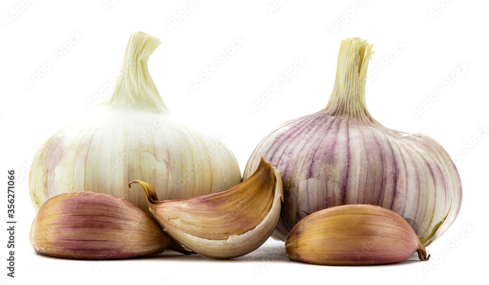 Fototapeta premium garlic isolated on white