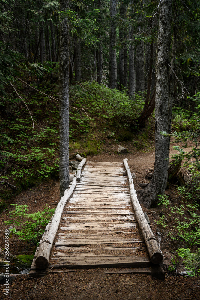 Fototapeta premium Rickety Wooden Bridge Over Ravine in Forest